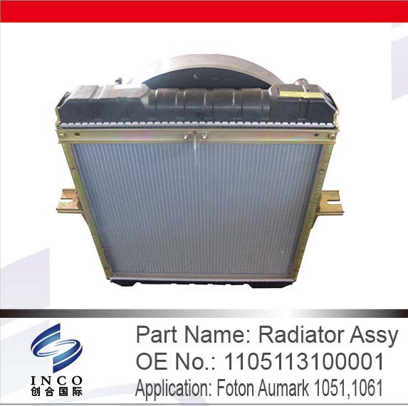 Radiator Assy 1105113100001