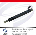 Fuel Injector 3919602