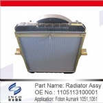 Radiator Assy 1105113100001